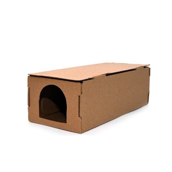 Cutie carton R3
