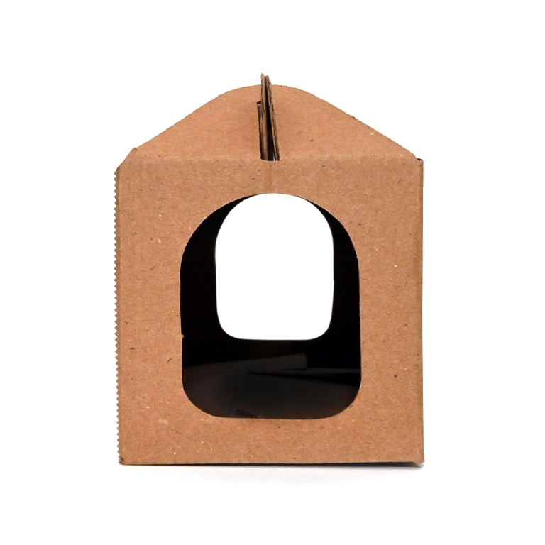 Cutie carton R4